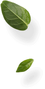 leaf img